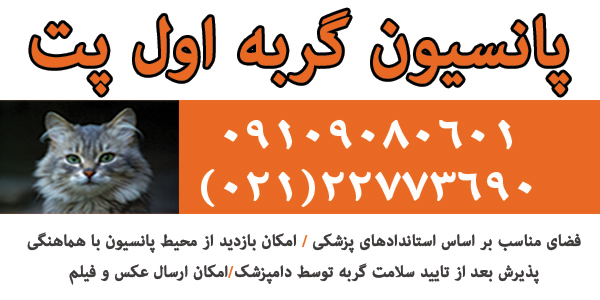 پانسیون گربه اول پت