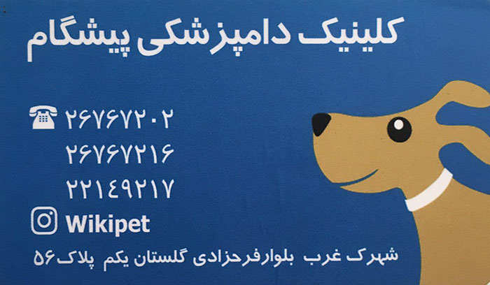 بهترین کلینیک دامپزشکی پیشگام تهران