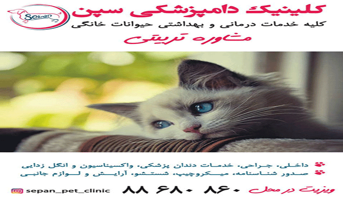 بهترین کلینیک دامپزشکی سین تهران