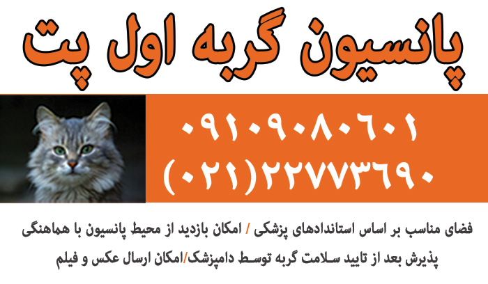 پانسیون گربه اول پت