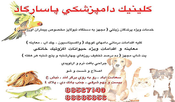 بهترین کلینیک دامپزشکی پاسارگاد تهران