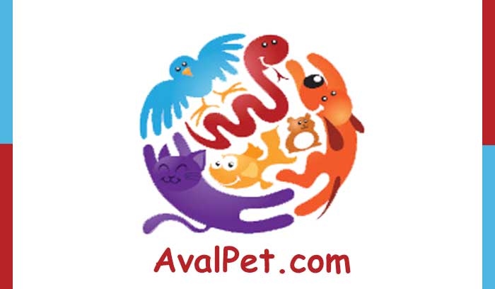 بهترین کلینیک دامپزشکی در پردیس