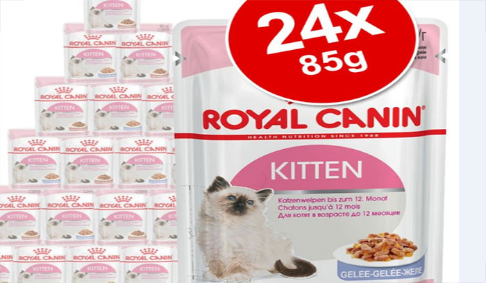 غذای بچه گربه رویال کنین، غذای بچه گربه 4 تا 12 ماه