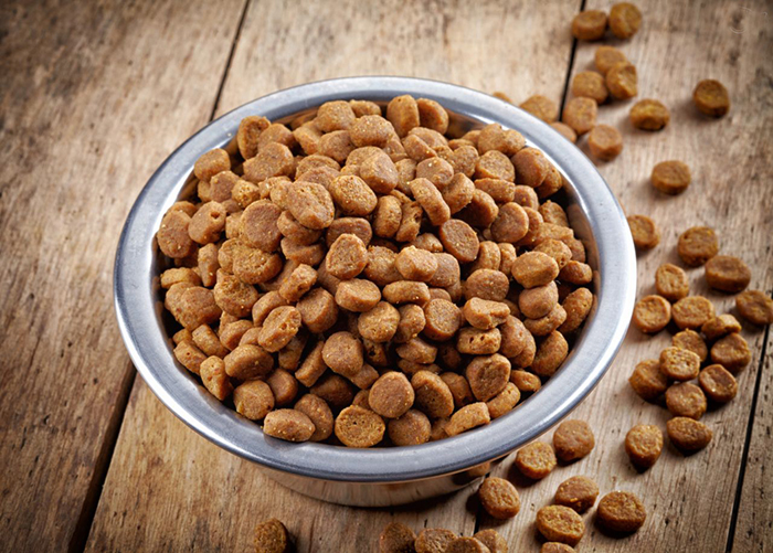 غذای سگ