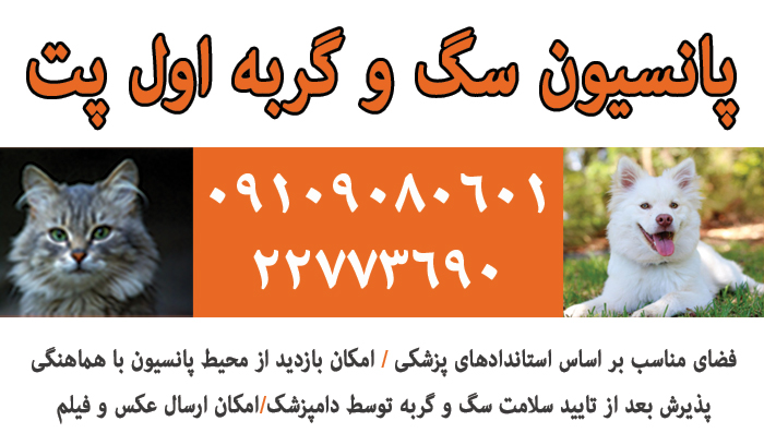 پانسیون سگ و گربه